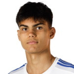 player-logo