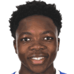 player-logo