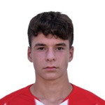 player-logo