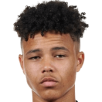 player-logo