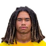 player-logo