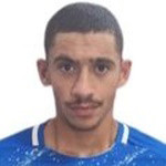 player-logo