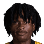 player-logo