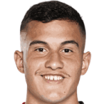 player-logo