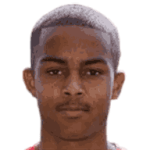player-logo