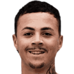 player-logo