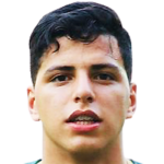 player-logo