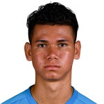 player-logo