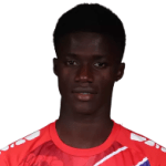 player-logo