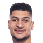player-logo