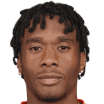 player-logo