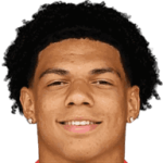 player-logo
