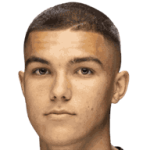 player-logo