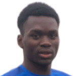 player-logo