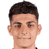player-logo