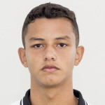 player-logo
