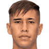 player-logo
