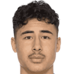 player-logo