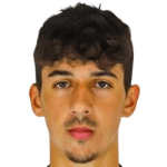 player-logo