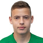 player-logo