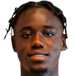 player-logo