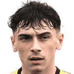 player-logo