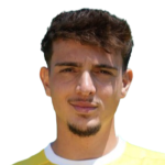 player-logo