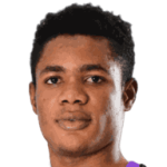 player-logo