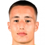 player-logo