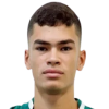 player-logo