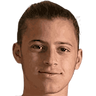 player-logo