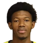 player-logo