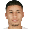 player-logo