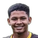 player-logo