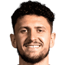 player-logo