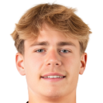 player-logo