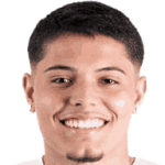 player-logo