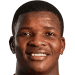 player-logo