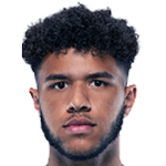 player-logo