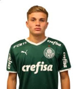 player-logo