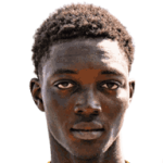 player-logo