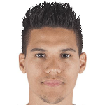 player-logo