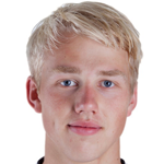 player-logo