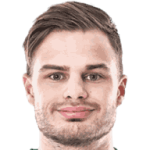 player-logo