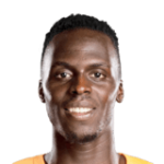 player-logo