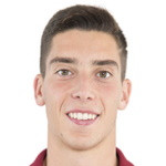 player-logo
