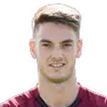 player-logo