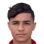player-logo