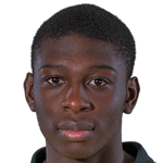 player-logo