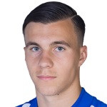player-logo